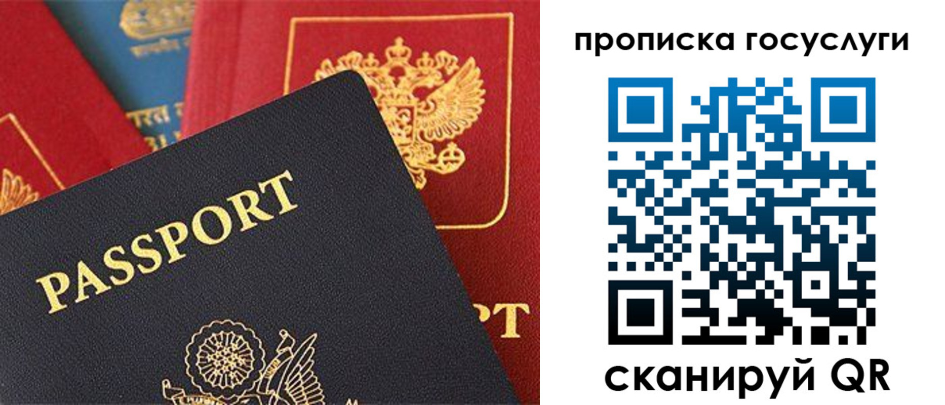 пропишу в квартире в Донском